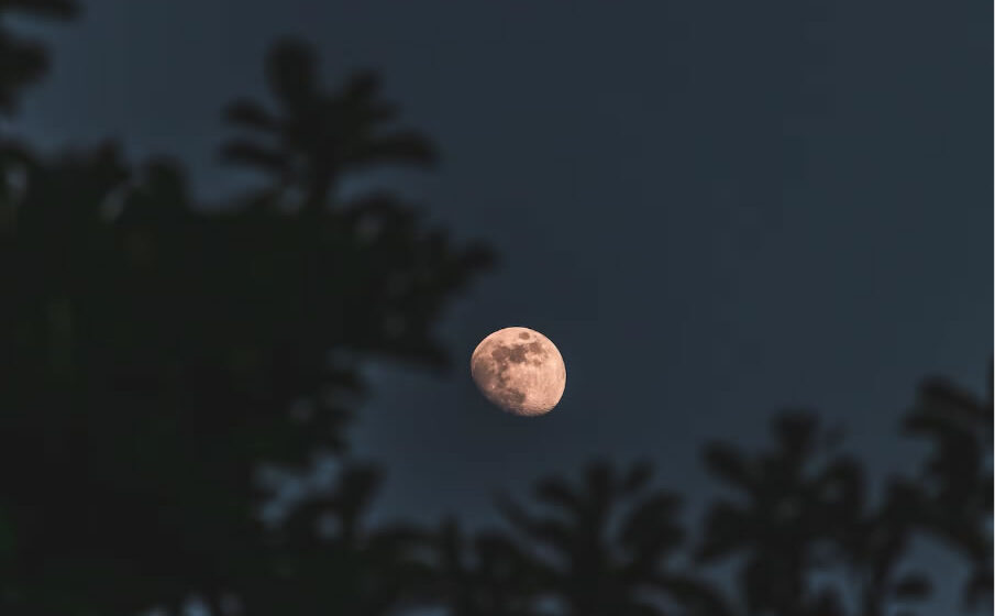Agro depende da lua para ter maior produtividade